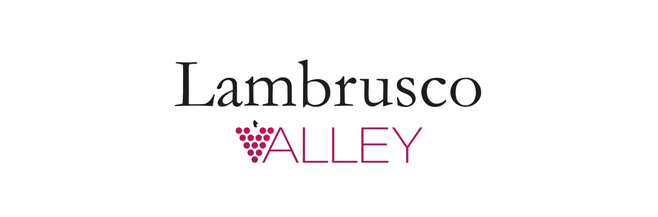 Consorzio logo valley3